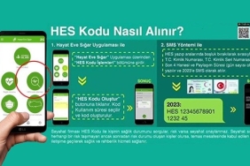 55hes[1]