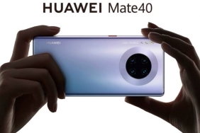mate 40