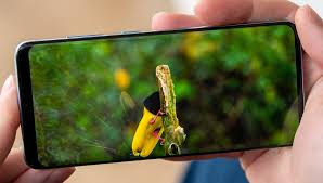 Samsung Galaxy S20 FE Render Ön Tarafta Bir Delgi Deliği Ekranı Ortaya Koyuyor
