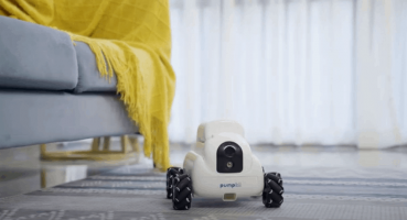 Indiegogo’da 149 $ (1.092,90 Türk Lirası) ‘lık Cazip Başlangıç ​​Fiyatıyla Evcil Hayvanlar İçin Pumpkii Modüler Robot!