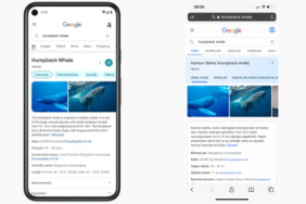 Google Arama
