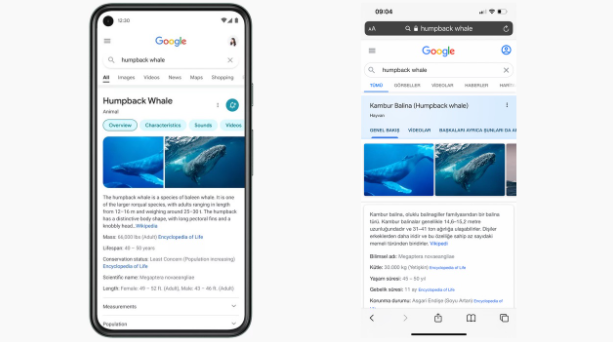 Google Arama Tasarımı Değiştiriliyor!