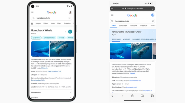 Google Arama Tasarımı Değiştiriliyor! 2021


