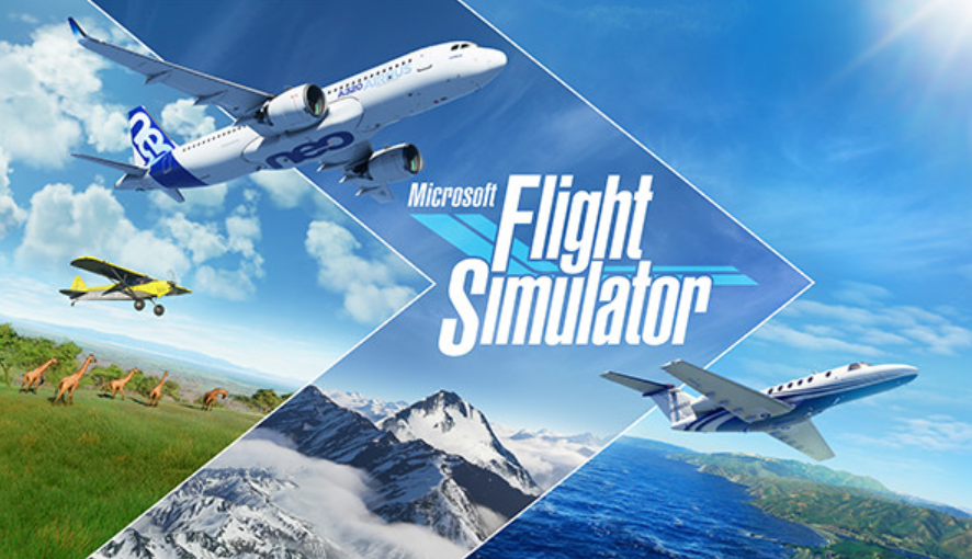 MICROSOFT FLIGHT SIMULATOR