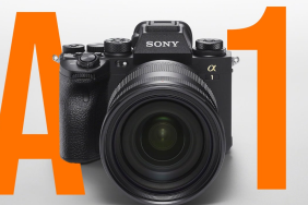 SONY