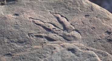 Dört yaşındaki Galli kız sahilde dinozor ayak izini keşfetti