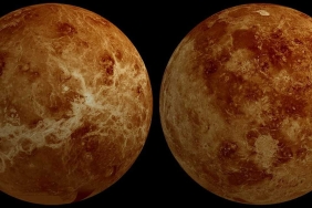 venus-orbit