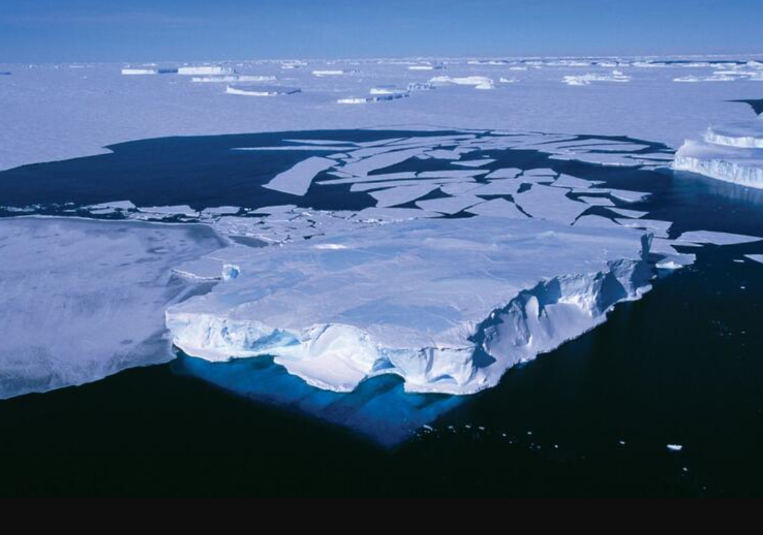 Antarktika’da Gizemli Canlılar Bulundu! 2021


