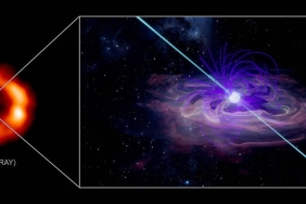 neutron-star