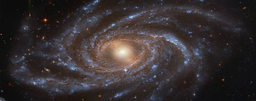 ngc2336 (1)