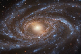ngc2336 (1)