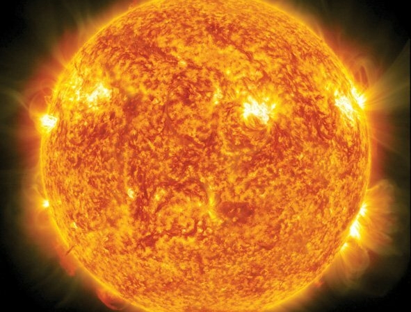 Güneş enerjisiyle çalışan deniz sümüklü böcekleri, kendi kafalarını kaldırarak yeni vücutlar oluşturur