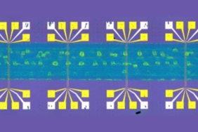 print-circuit-1280x720