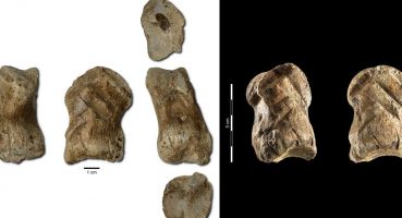51000-year-old-neanderthal-art-deer-bone-carving-1280x720