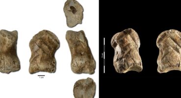 Dünyanın en eski Neandertal sanatı 3D dosya olarak ücretsiz yayınlandı