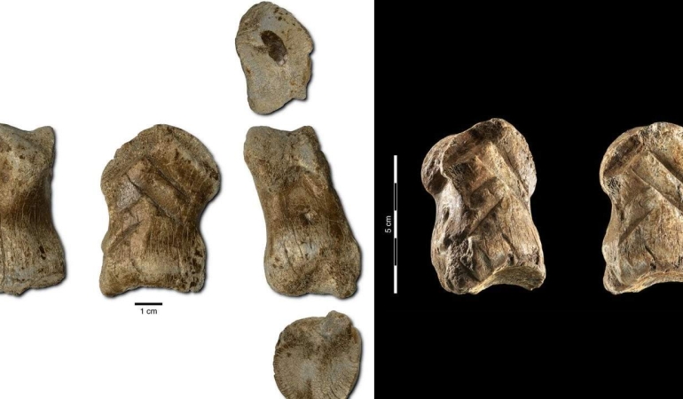 Dünyanın en eski Neandertal sanatı 3D dosya olarak ücretsiz yayınlandı