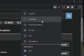 Google-Chrome-Share-Menu-screenshot-tool