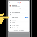 QUICK-DELETE-history-google-search