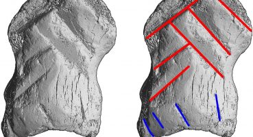 Araştırmacılar Neandertal sanatçıları tarafından oyulmuş kemikleri keşfetti