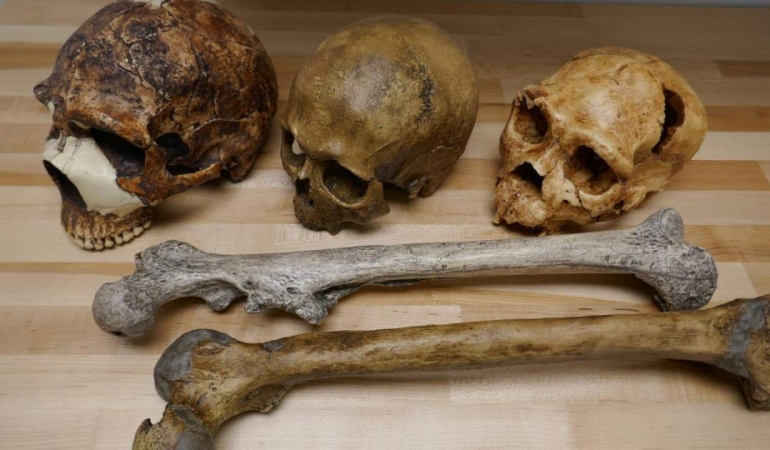 Bilim adamları, iklim değişikliğinin insanların vücudunu ve beyin boyutunu etkilediğini söylüyor