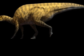 portellsaurus-sosbaynati-1280x720