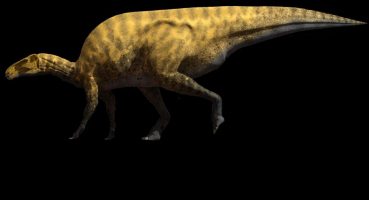 Paleontologlar yeni bir iguanodon benzeri dinozor tanımlıyor