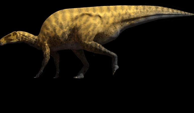 Paleontologlar yeni bir iguanodon benzeri dinozor tanımlıyor
