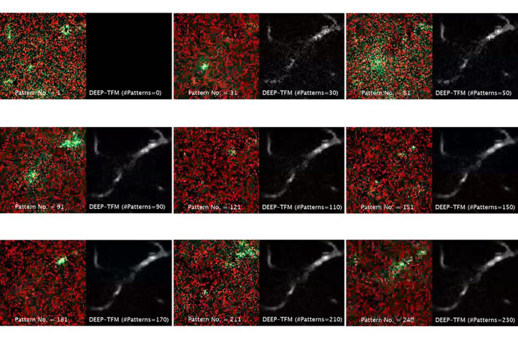 temporal-vs-deep-tfm-image2