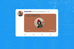 twitter-cap