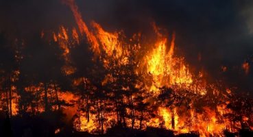 Manavgat’taki Yangın Kontrol Altına Alındı