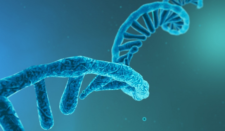BioNTech Kurucularından Uğur Şahin, mRNA’nın Genç Kalmaya Yararlı Olduğunu Açıkladı..