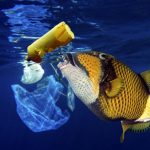 1_CATERS_SEA_LITTER_ARTISTS_IMPRESSION_02-1024x652