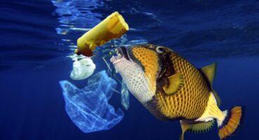 1_CATERS_SEA_LITTER_ARTISTS_IMPRESSION_02-1024x652