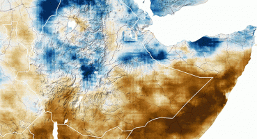 Yağışsız Geçen Mevsimler Doğu Afrika’da Acil Durum Oluşturuyor