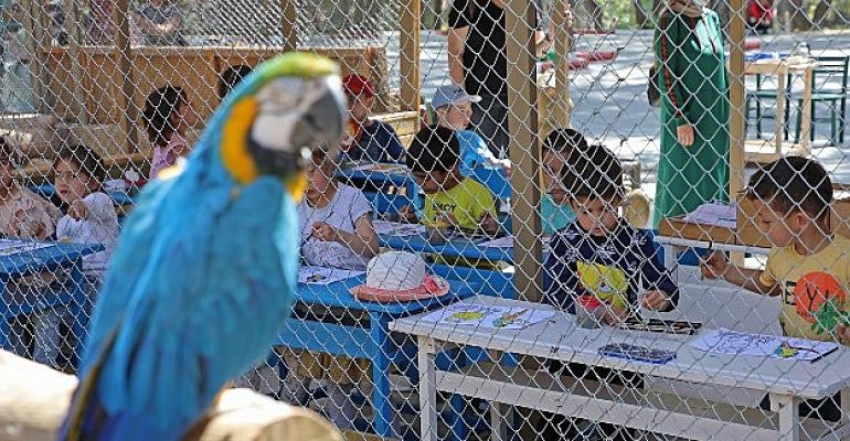 Antalya Hayvanat Bahçesi’nde minik öğrenciler için renkli etkinlik