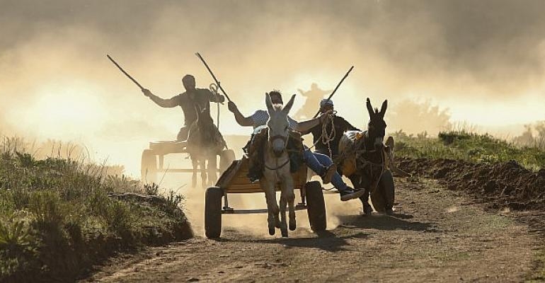 Eşek Arabası Yarışları Büyük İlgi Gördü