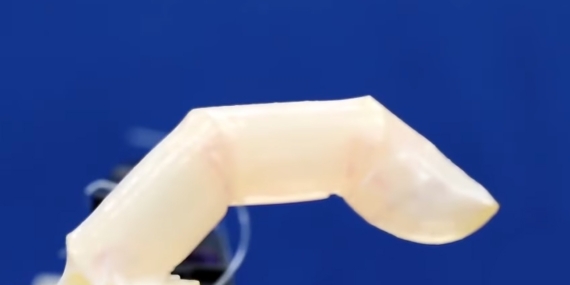 Gerçek İnsan Derisinden Cilde Sahip Robot Geliştirildi