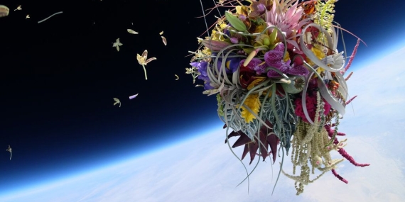 Astronotlar toprak olmadan uzayda bitki yetiştirmeyi nasıl başardı?