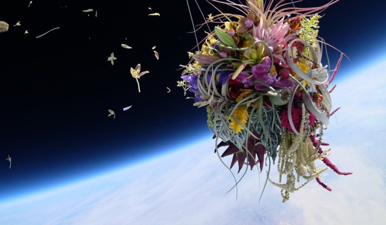 Astronotlar toprak olmadan uzayda bitki yetiştirmeyi nasıl başardı?