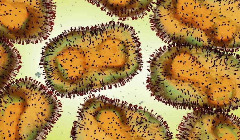 Maymun Çiçeği Vaka Sayısı Bir Haftada 3 Kat Arttı: Peki Endişelenmeli miyiz?