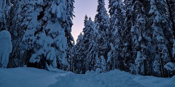 En canlı gece fotoğrafları için 7 ipucu!