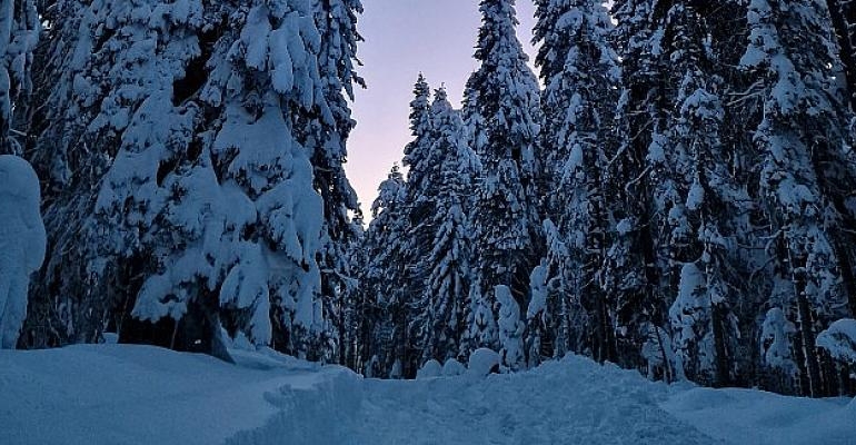 En canlı gece fotoğrafları için 7 ipucu!