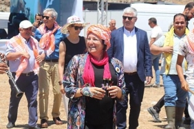 karaburun-daglarinda-kirkim-coskusu.jpg