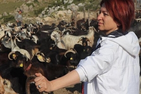 kirkim-senligi-icin-tum-hazirliklar-tamam.jpg