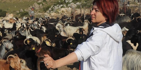 Kırkım Şenliği için tüm hazırlıklar tamam!