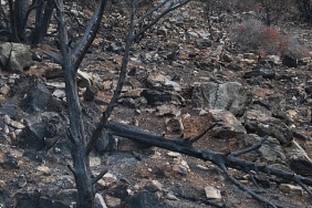 traces-of-fire-by-sebnem-unlu-16-29-haziran-tarihleri-arasinda-maslakta.jpg