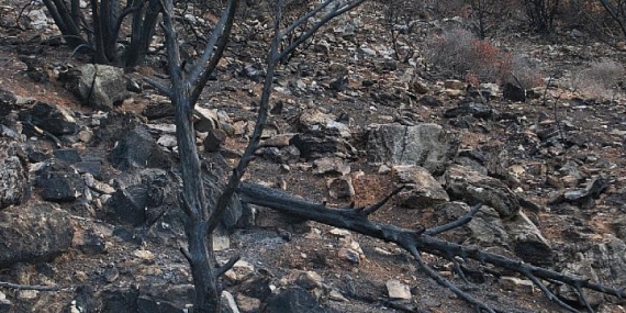 “Traces of Fire” by Şebnem Ünlü 16 – 29 Haziran tarihleri arasında Maslak’ta