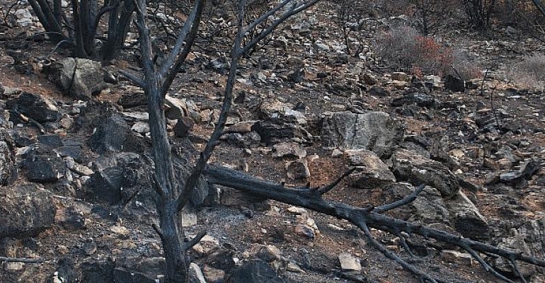 “Traces of Fire” by Şebnem Ünlü 16 – 29 Haziran tarihleri arasında Maslak’ta