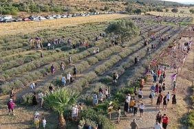 didim-lavanta-festivali-icin-gun-sayiyor.jpg