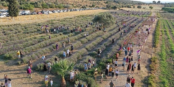 Didim Lavanta Festivali İçin Gün Sayıyor